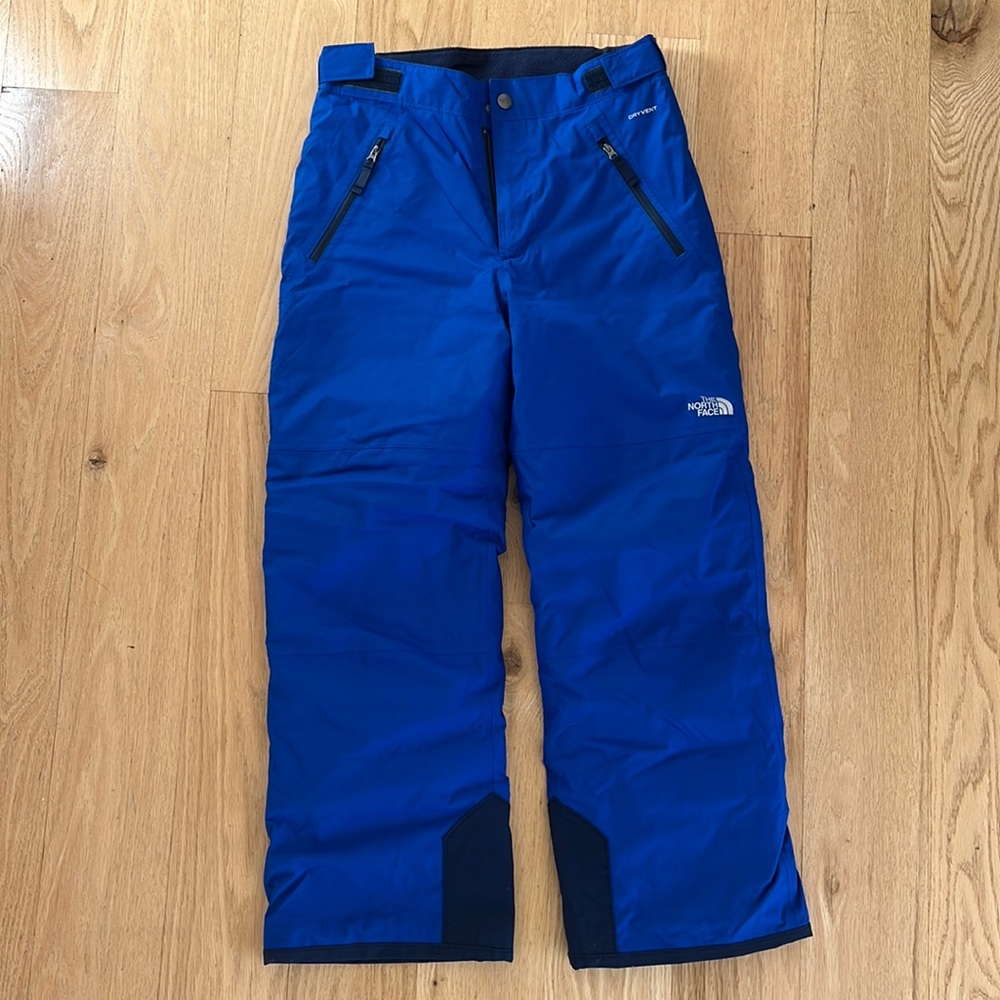 The North Face Freedom Insulated Ski Pants, Size Large (14/16)